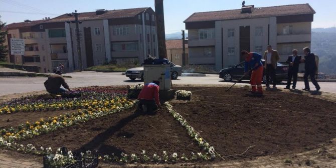 Alaplı Belediyesi’nden Çalışma Seferberliği