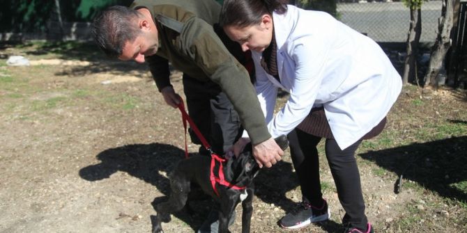 Odunpazarı Belediyesi’nden Ücretsiz Kuduz Aşısı