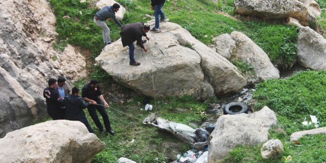 Kayalıklarda Sıkışan Katır İki Gün Sonra Kurtarıldı