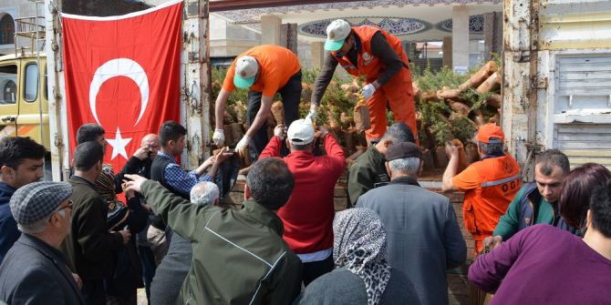 Korkuteli İlçesinde Ücretsiz Fidan Dağıtıldı