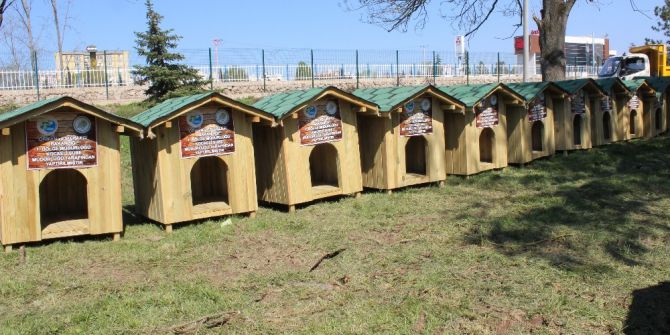 Tapulu Köpek Evleri Teslim Edildi