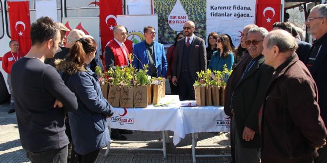 "Bir Kan Bir Fidan Projesi" Fidan Dağıtımı