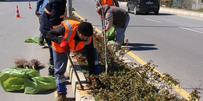 Akçakoca Belediyesi Bahar Çalışmalarına Başladı