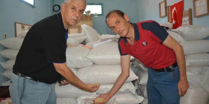 Latmos’tan Avrupa’ya Künar