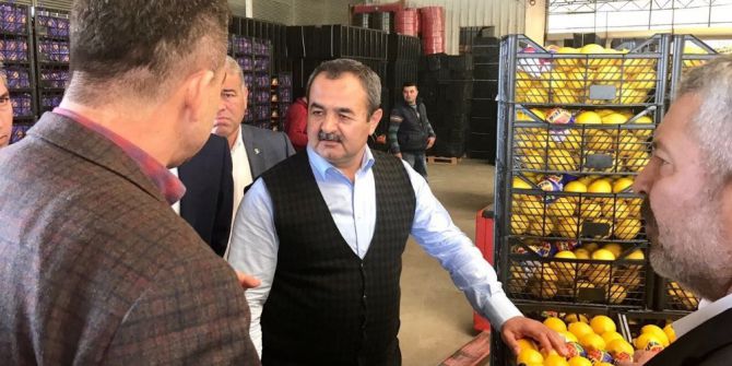 Halk Oylamasına Doğru