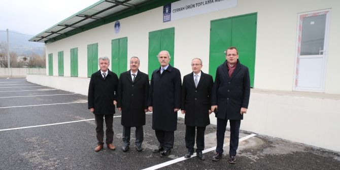 Büyükşehir Belediyesi’den Üreticiye Destek