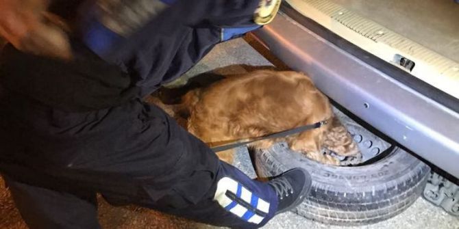 Uyuşturucu Tacirinin Yalanını "Coco" Ortaya Çıkardı