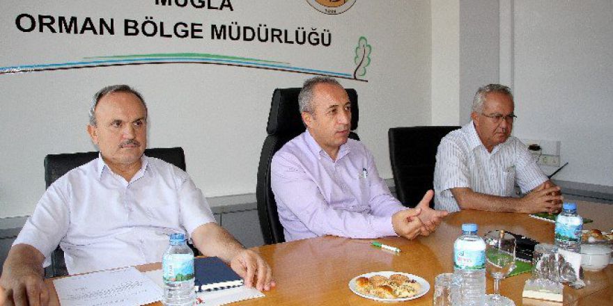 Basralı Alanlar Genişletiliyor