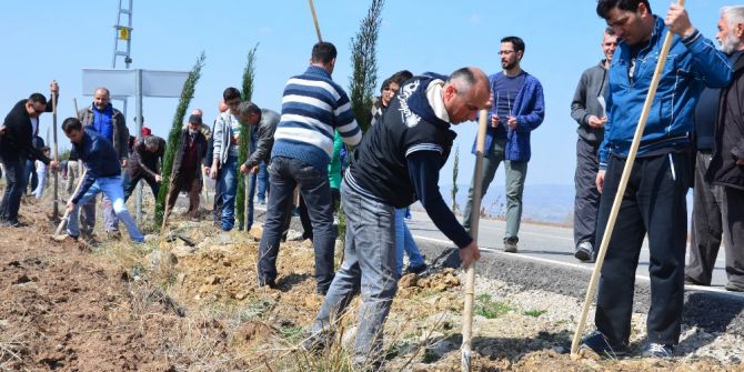 Şehitler Çam Fidanlarında Yaşayacak
