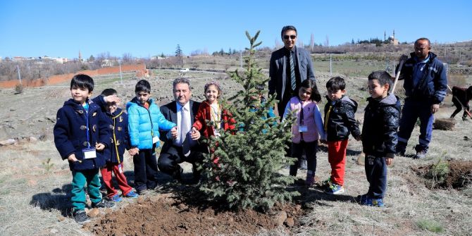 Talas’ta Yüzlerce Fidan Toprakla Buluştu