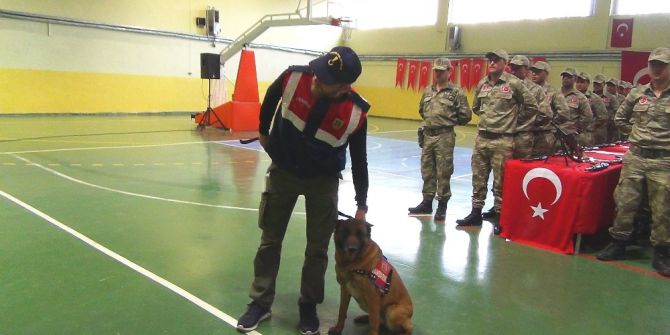 Korucuların Yemin Töreninde Jandarma Köpeklerinin Gösterisi Büyük Beğeni Topladı