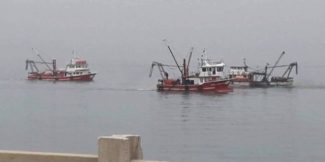 Cideli Çevreciler, Kum Mideyesi Avcılığına Tepki Gösterdi