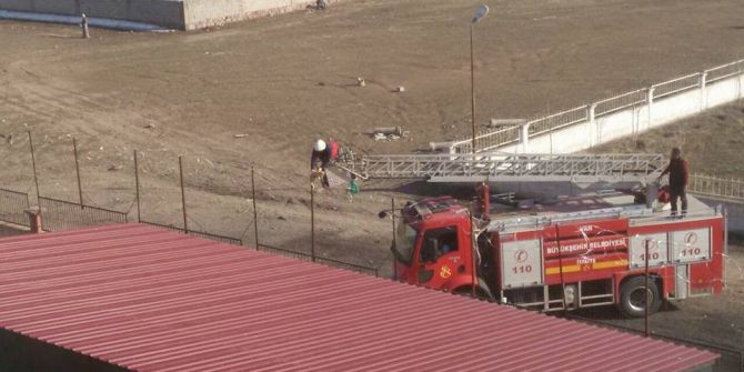 Tel Örgüye Takılı Kalan Kedi Kurtarıldı