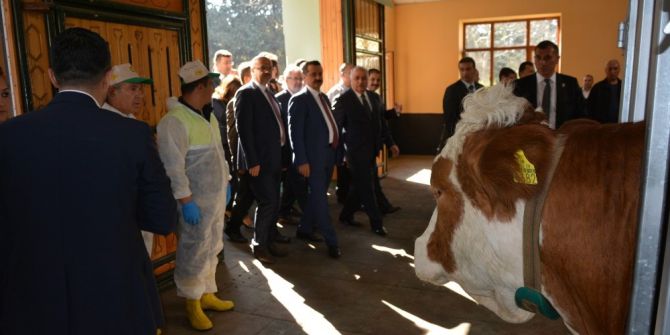 Bakan Çelik, İlk Embriyo Transferini Gerçekleştirdi