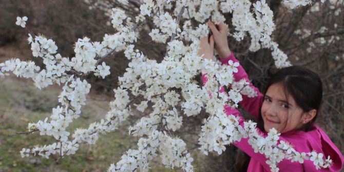 Ağaçlar Çiçekler Açtı