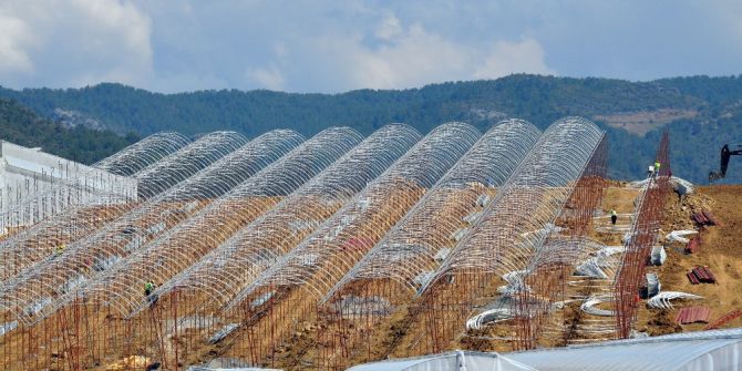 Sebze Meyve İhracatındaki Kriz, Muz Üreticisine Yaradı