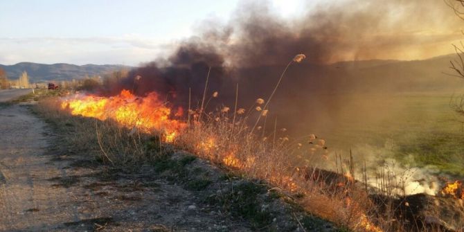 Hisarcık’ta Arazi Yangını