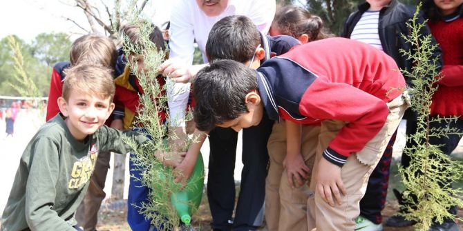 Başkan Gürlesin, Fidan Dikti