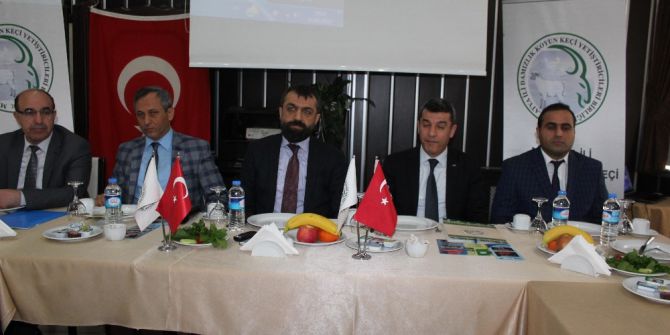 Küçükbaş Hayvan Üreticilerine Verilecek Destekler Anlatıldı