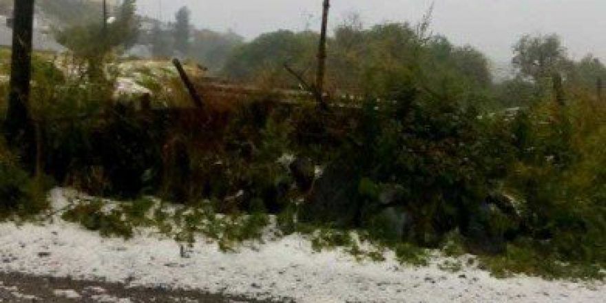 Ardahan’da Dolu Sürprizi