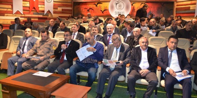 Manda Sütünün Markalaşma Yolculuğu