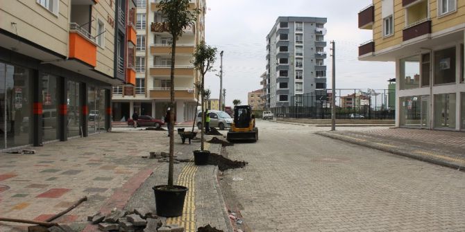 Tekkeköy Yeşille Bütünleşiyor