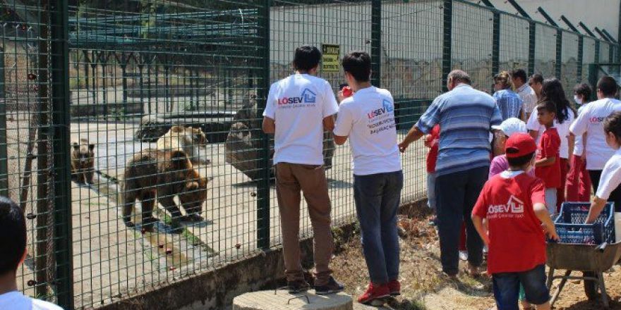 Lösemili Çocuklar Karacabey’e Hayran Kaldı