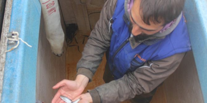 Artvin’den Dünyaya Balık İhracatı