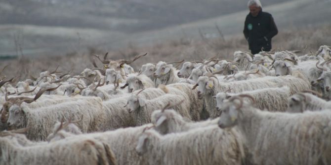 Hayvan Yetiştiricileri, Çiftçiler, Çobanlar Fuarda Buluşacak