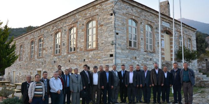 Aydın’da Çiftçinin En Büyük Derdi Domuzlar