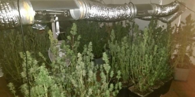 Villaya Uyuşturucu Baskını