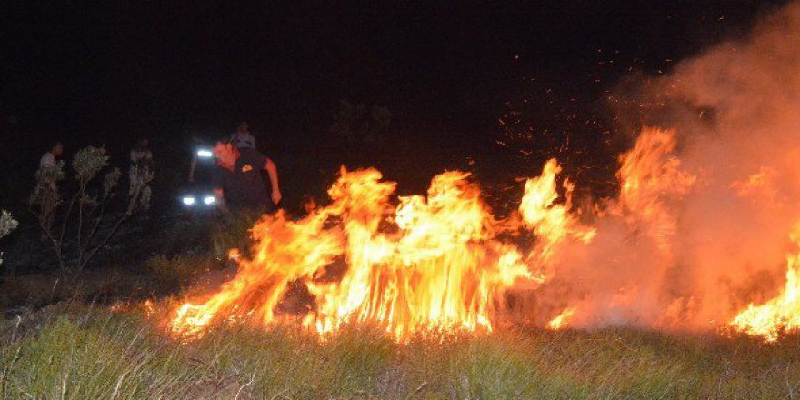 Sinop’ta Ot Yangını Güçlükle Söndürüldü