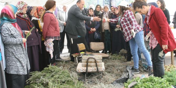 Tarım İlçe Müdürlüğünden Devrekli Çiftçilere Teknik Gezi