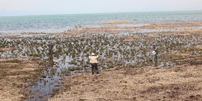 Beyşehir’de Haşereyle Larva Döneminde Mücadele Ediliyor