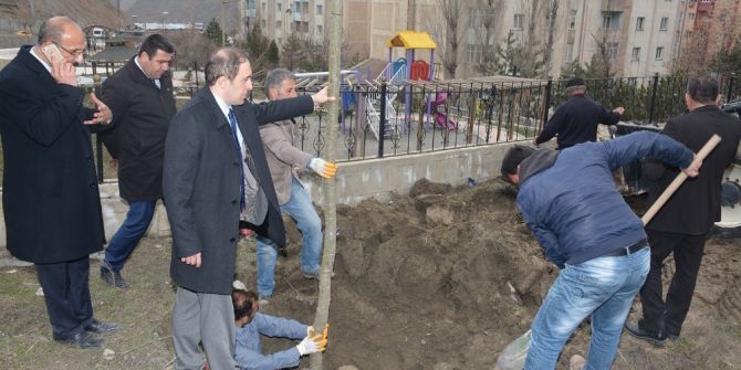 Hakkari’de Ağaçlandırma Çalışmaları