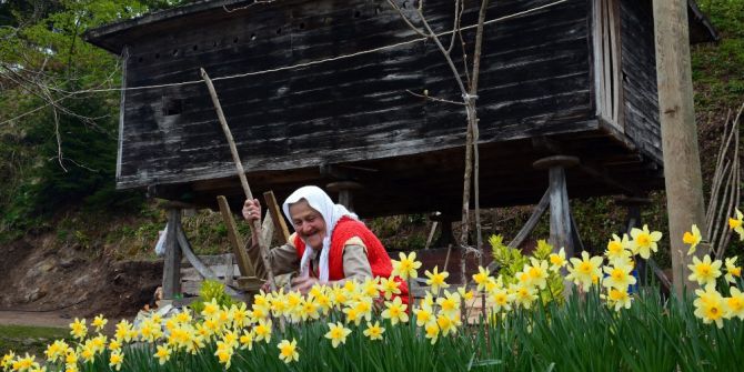 90’lık Nine Çiçeklerine Gözü Gibi Bakıyor