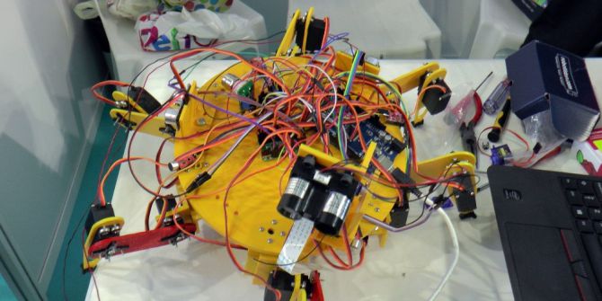 Tavuk Tüyünden Petrol Temizleme Aracı