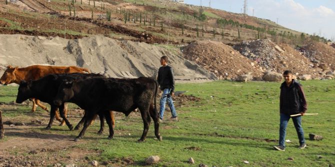 Sur’un Fedakar Çocukları