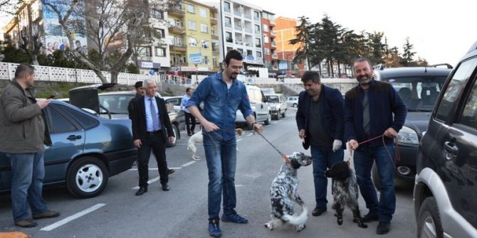 Biga’da Av Köpekleri Aşılandı