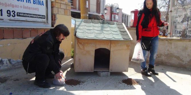 Motosiklet Grubu Kuran Kadınlar Sokak Hayvanları İçin Gazladılar