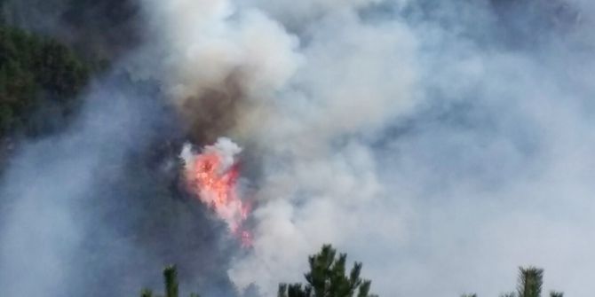 Kastamonu’da Orman Yangınları