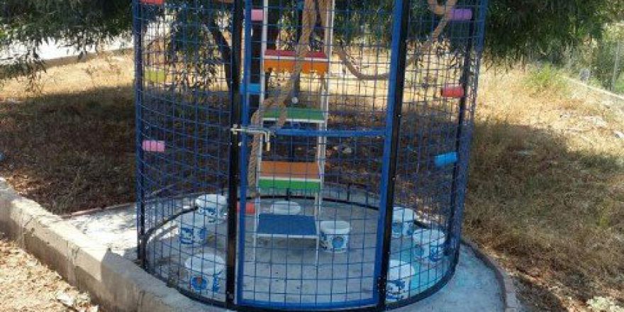 Anamur’da Kedilere Ev