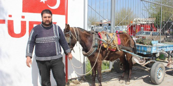 İncirliovalı At Arabacıları Dert Taşımaya Başladı