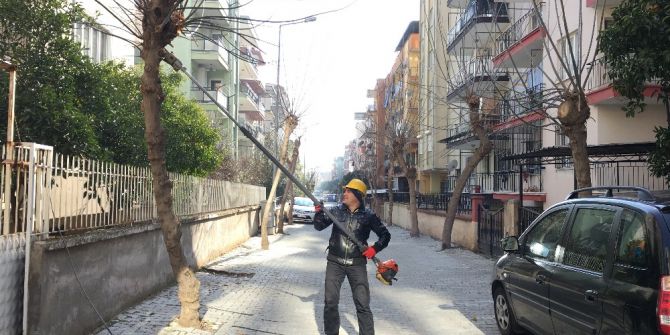 Efeler Sokakları Yazar Hazır