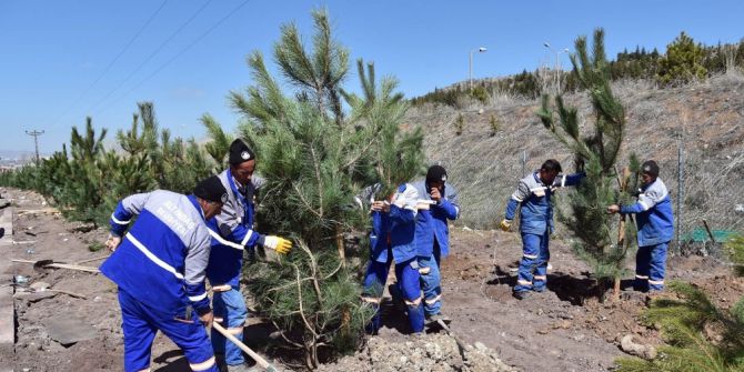 Altındağ Yeşile Bürünüyor