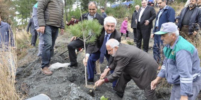 Şehit Polis Erin Anısına Hatıra Ormanı Kuruldu