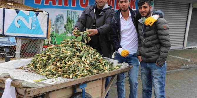 Baharın Müjdeleyicisi Gülbahar Bitkisi Çıktı
