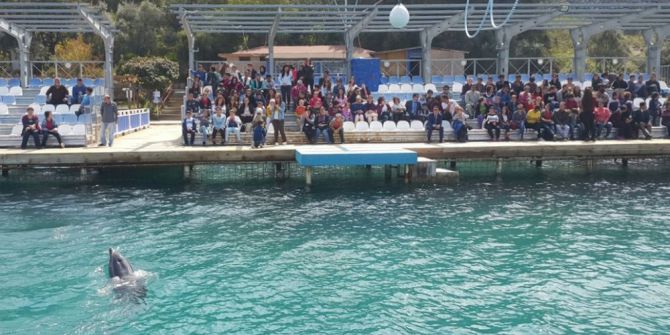 Milas’ta Yunuslardan Özel Bireylere Özel Gösteri