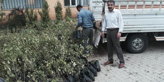 Gercüş’te 27 Bin 400 Adet Fidan Toprakla Buluştu