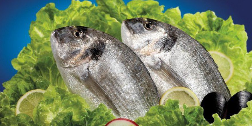 Balık Vücut Direncini Arttırıyor
